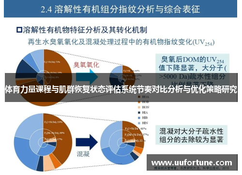 体育力量课程与肌群恢复状态评估系统节奏对比分析与优化策略研究