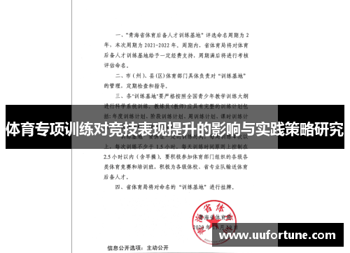 体育专项训练对竞技表现提升的影响与实践策略研究